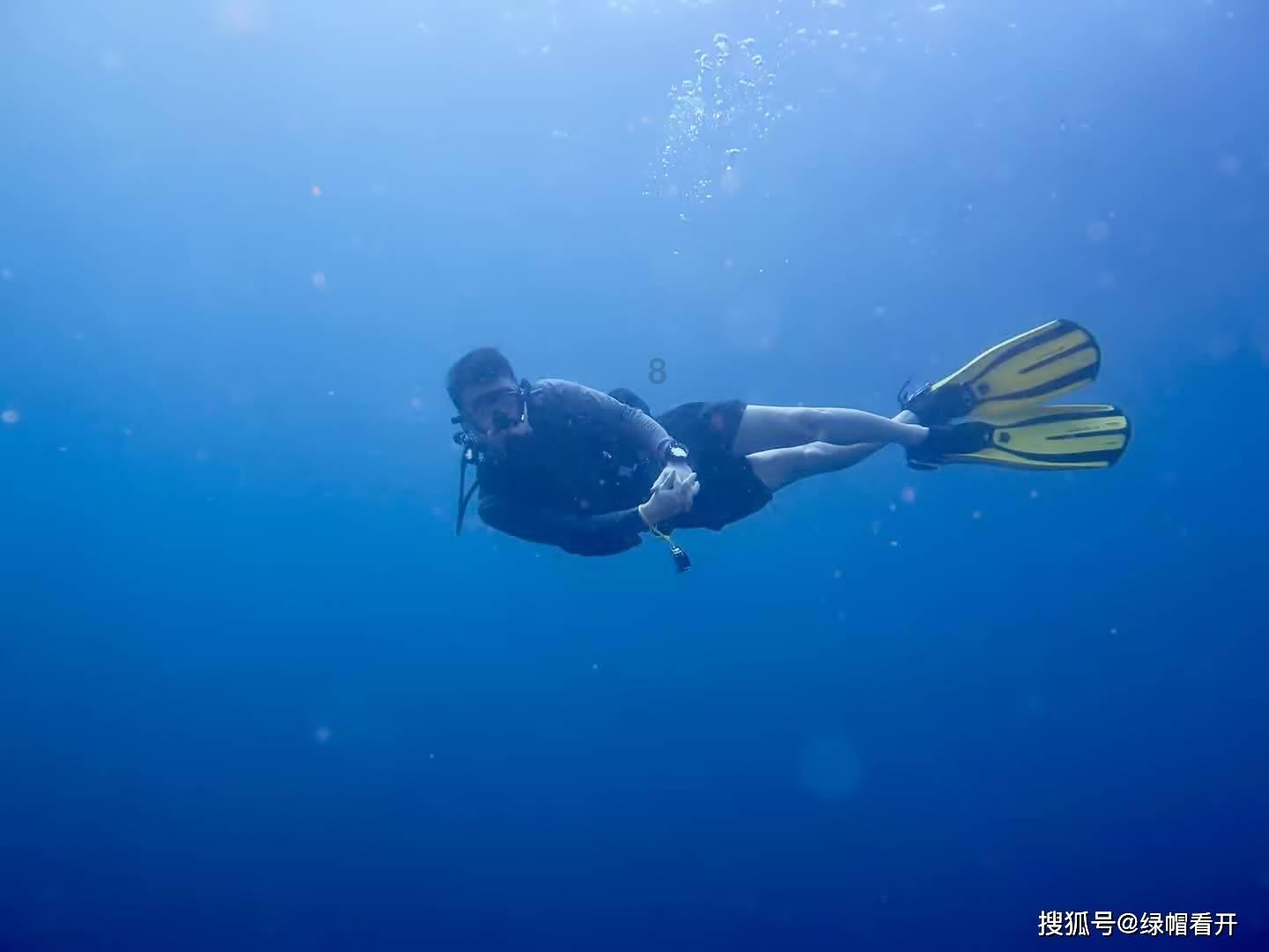 宝可梦探险寻宝